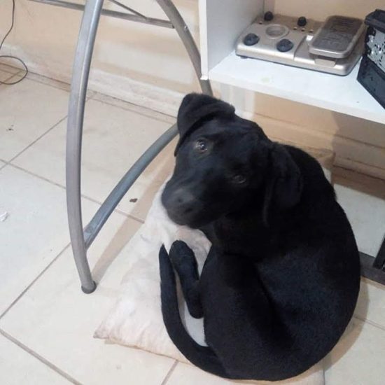 IMG_20190619_185332_969