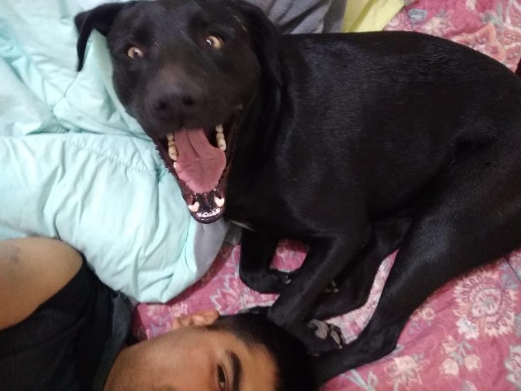 IMG_20191109_230811622