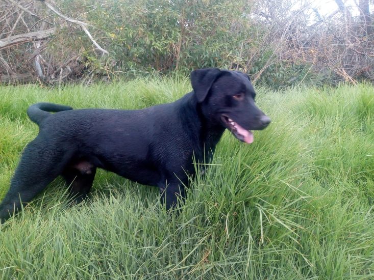 IMG_20200116_195928249